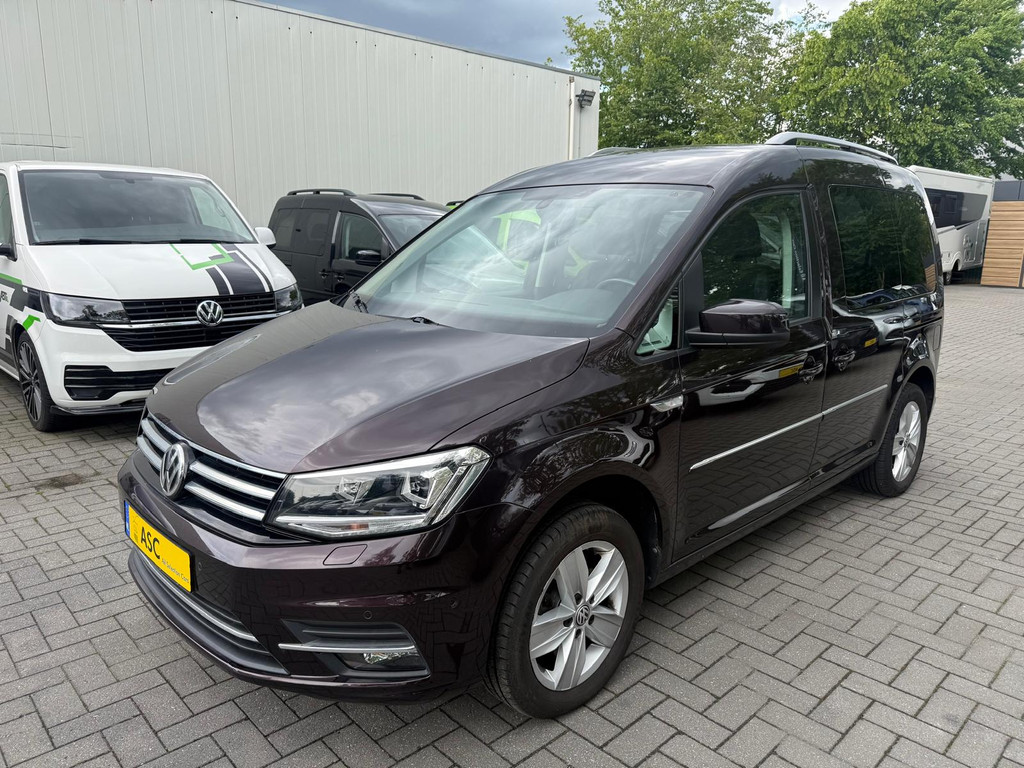 53436506